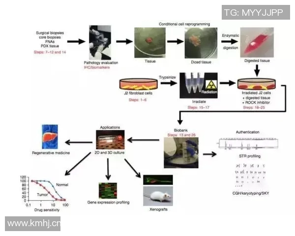 探索14122的奥秘与价值：揭示其在现代社会中的重要性与应用潜力